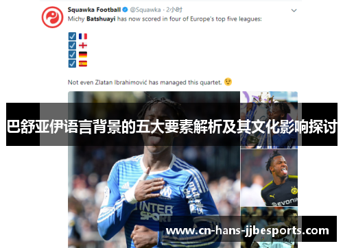 巴舒亚伊语言背景的五大要素解析及其文化影响探讨