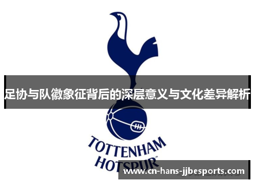 足协与队徽象征背后的深层意义与文化差异解析