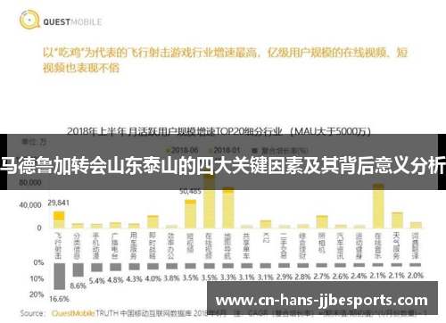 马德鲁加转会山东泰山的四大关键因素及其背后意义分析